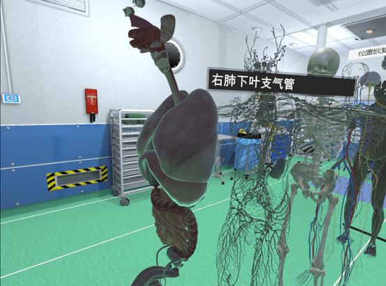 竞博APP下载注册：虚拟时间《VR人体解剖实验室》荣获2021高通XR挑战赛趣立创新奖金奖(图4)