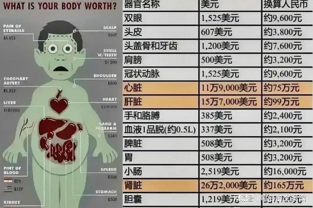 竞博APP下载注册：到了缅甸你浑身是宝来看一张人体器官价格图最便宜的是血液(图2)